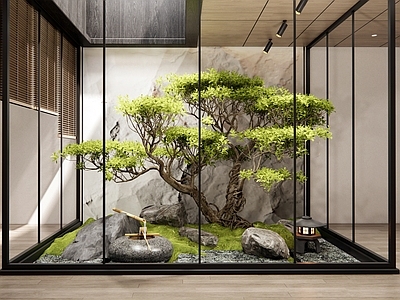 新中式室内景观 天井室内景观 植物造景 松树 水钵 苔藓石头