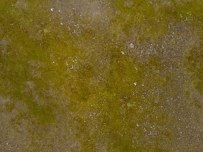 现代自然地面 户外地面 苔藓