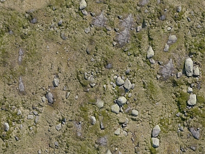现代自然地面 户外地面 石头草地地面 苔藓
