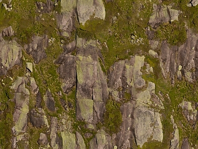 现代自然地面 苔藓 景观地面
