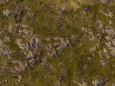 现代自然地面 土壤