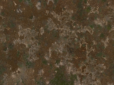 现代自然地面 土壤