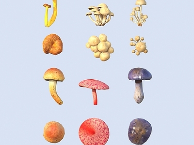 农作物 蘑菇 草菇 毒蘑