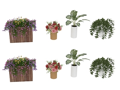 盆栽 植物 盆栽