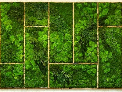 现代绿植墙 植物墙绿植墙景墙