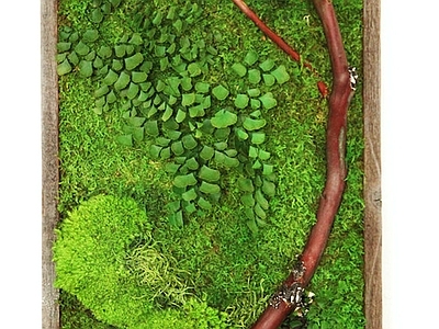 现代绿植墙 植物墙绿植墙景墙