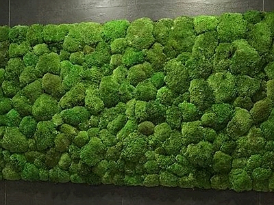 现代绿植墙 植物墙绿植墙景墙