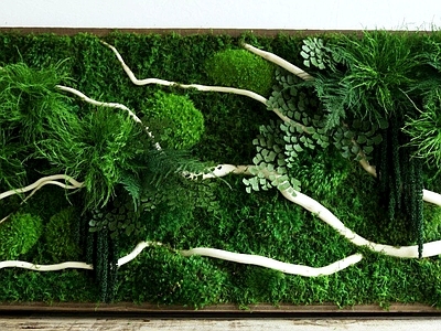 现代绿植墙 植物墙绿植墙景墙
