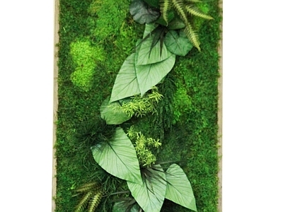 现代绿植墙 植物墙绿植墙景墙