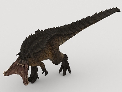 其他动物 生物
