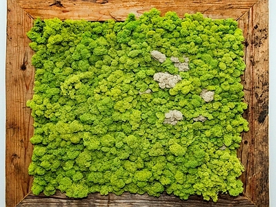 现代绿植墙 植物墙绿植墙景墙