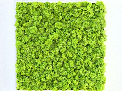 现代绿植墙 植物墙绿植墙景墙