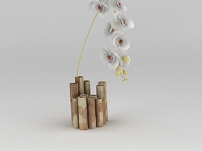 现代兰花插花