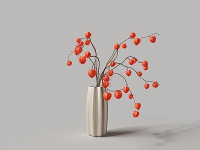 水生植物 现代白瓷花瓶 灯笼花 植物花卉