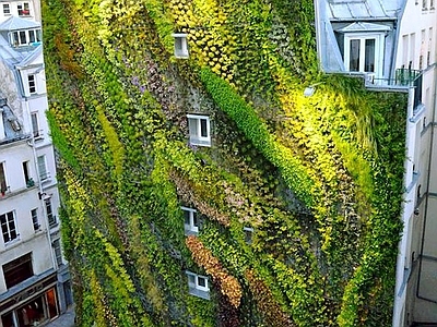 现代绿植墙 植物墙绿植墙景墙