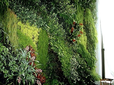 现代绿植墙 植物墙绿植墙景墙