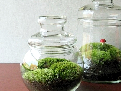 现代绿植墙 植物墙绿植墙景墙