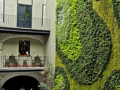 现代绿植墙 植物墙绿植墙景墙