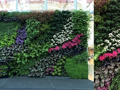 现代绿植墙 植物墙绿植墙景墙
