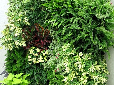 现代绿植墙 植物墙绿植墙景墙