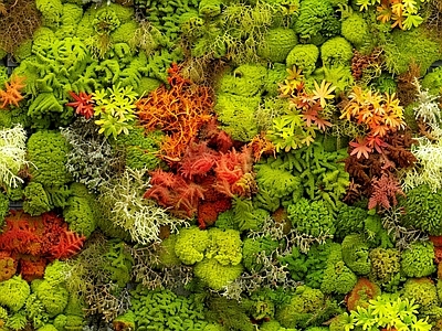 现代绿植墙 植物墙绿植墙景墙