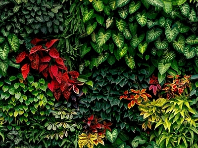 现代绿植墙 植物墙绿植墙景墙