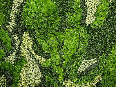 现代绿植墙 植物墙绿植墙景墙