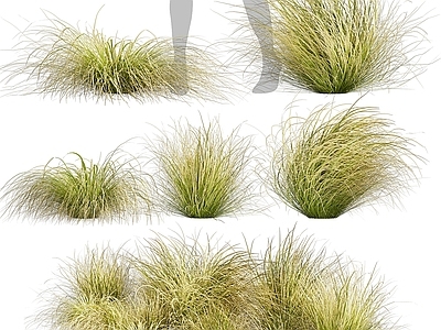 草