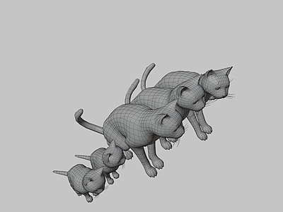 家禽动物 猫科 家族 猫