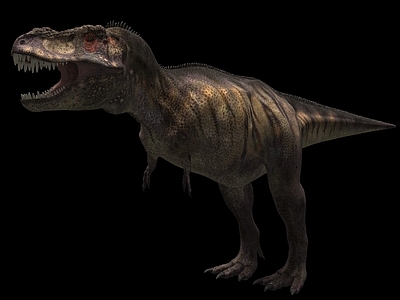 爬行类动物 暴龙恐龙