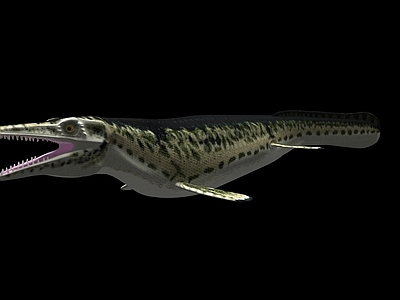 爬行类动物 沧龙恐龙