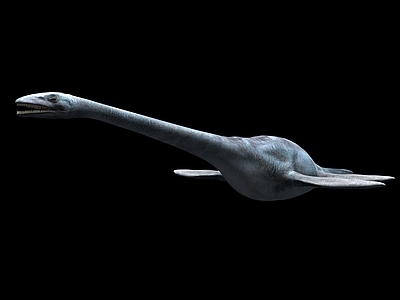 爬行类动物 剑龙恐龙