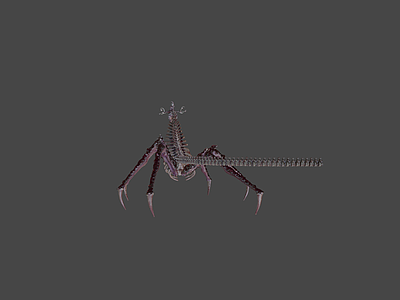 虚拟人物 生物 虚空 骨骼