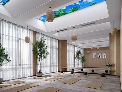 现代瑜伽室 多功能室 瑜伽室