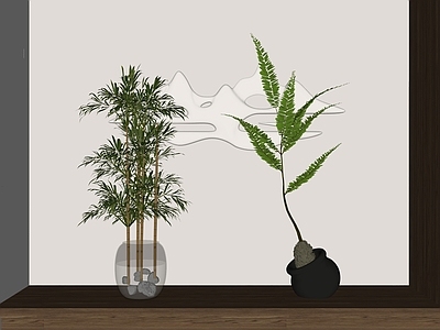 竹子 水培富贵竹 观音竹 波斯顿肾蕨 盆栽 盆栽竹子