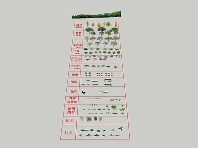 乔木 居住区常用乔木 地形灌木 对景树 色叶树