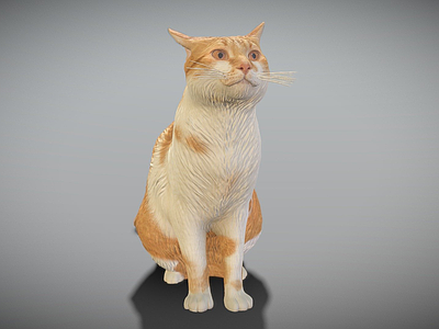 虚拟人物 红猫 猫 表面