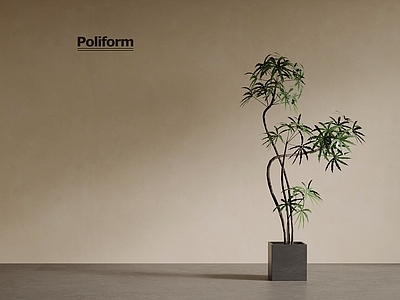 盆栽 中古风绿植