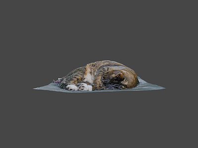 虚拟人物 猫 垫子