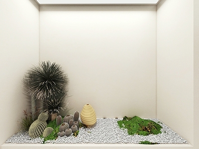 植物堆 植物景观 庭院植物