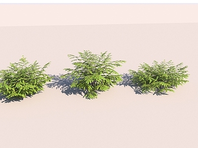 草 山野植物