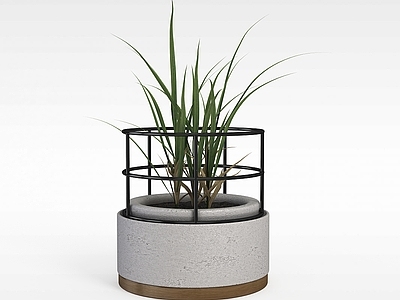 现代创意盆栽摆件