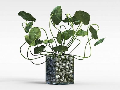 现代花草绿植盆栽