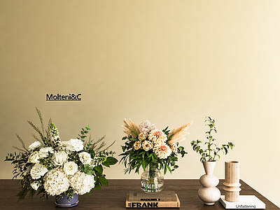 盆栽 现在花瓶 盆栽