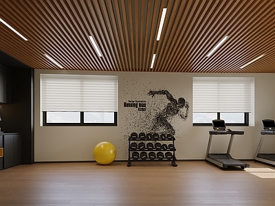 现代活动室 健身房活动室