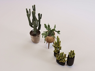 现代北欧沙漠植物 沙漠风植物盆栽 秘鲁苹果柱 星球属兜丸 乳突球属 仙人掌