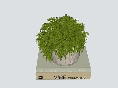 盆栽 绿植 盆栽