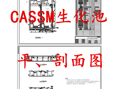 水处理 CASSM生化池 生化池 污水处理生化池 施工图