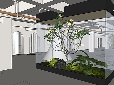 植物组合 蕨类 植物 办公室植物 鹿角蕨