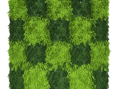 绿植墙 植物墙 绿植墙